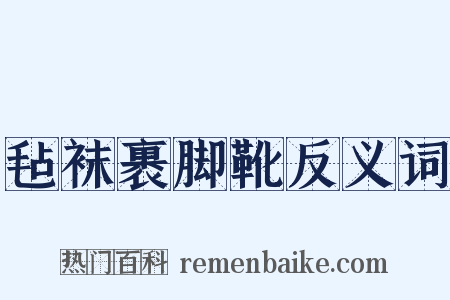 毡袜裹脚靴反义词是什么意思的图片